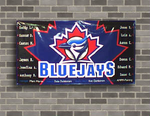 banners/thebluejays.jpg
