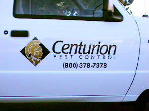 trucklettering/centurionsd.jpg